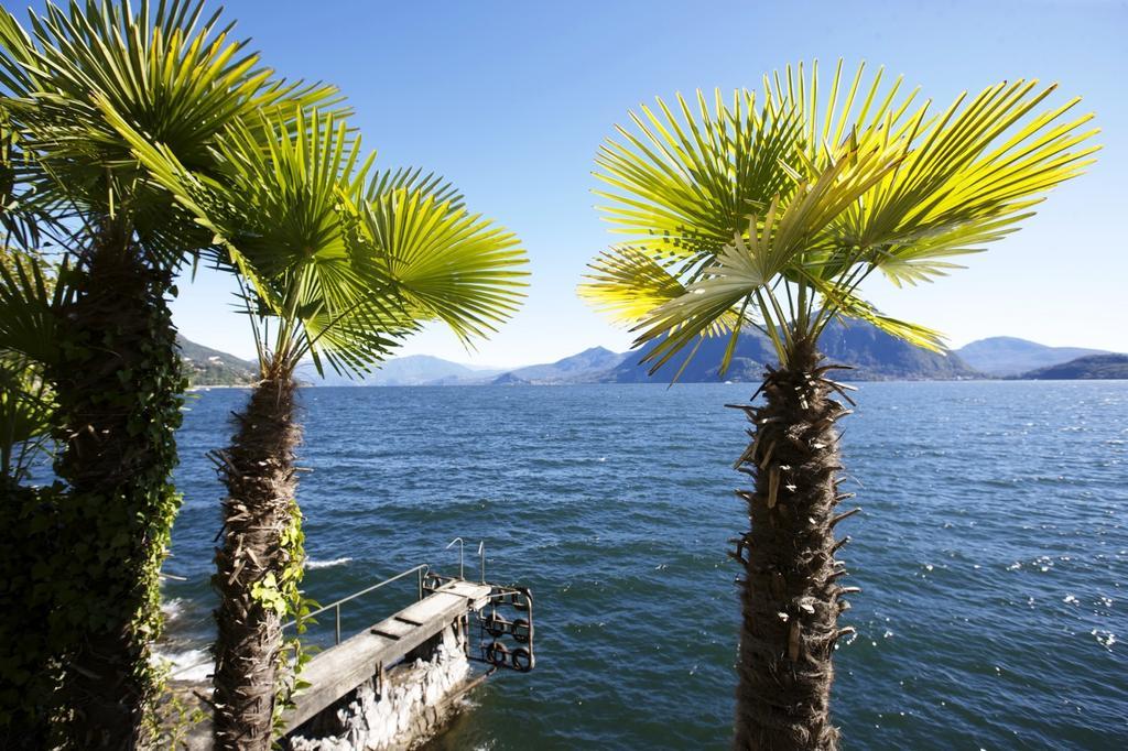 Villa Camelia Verbania Bagian luar foto
